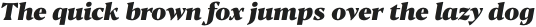 Blacker Text Heavy Italic otf (800)