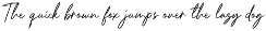 Riccardy Signature Font preview