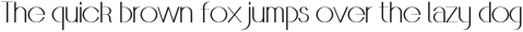 VINA Medium ttf (500)