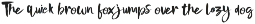 NEW I Nightype Script preview
