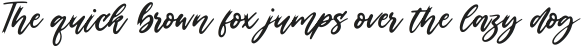 Black Regular ttf (900)