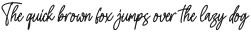 Menttally Weignota Italic otf (400)