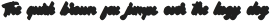 Kathopis Medium extratude otf (500)