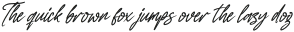 Authentty Wegnotta Italic otf (400)