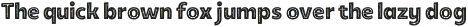 TobiOxide-BlackInlineBasic otf (900)
