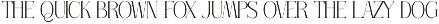 Thorco New Display Serif Font preview