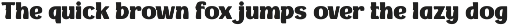 BAKRUV | Serif Classic Modernism preview