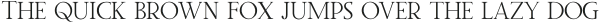 TwiceWritingSerif otf (400)