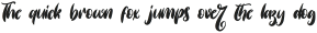 Summer Vibrant Italic otf (400)