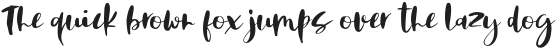 Skyline Rough otf (400)