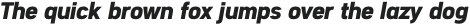 Segovia Bold Italic otf (700)
