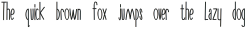 NewSlang Heavy otf (800)
