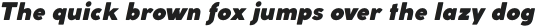Coco Gothic Fat Italic otf (800)