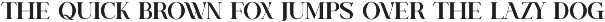 Virust _ Serif Ligature Font preview
