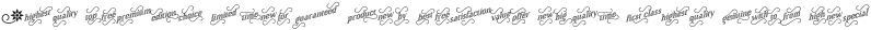 Yapa Ornaments otf (400) Sample