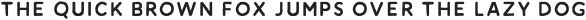 Amnesty Sans Stamp otf (400)
