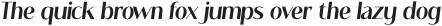 Megapolis Light Italic otf (300)