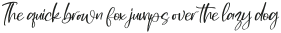 Woman Friend Italic otf (400)