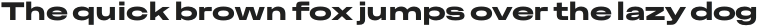 Premis Extrabold Extended otf (700)