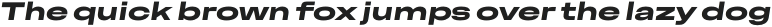 Premis Extrabold Extended Italic otf (700)