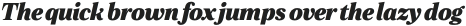 Zeit Heavy Italic otf (800)