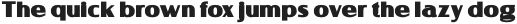 Medisans Bold otf (700)
