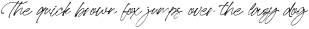 Lovina Script Italic otf (400)