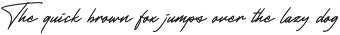 Groovy Shine preview