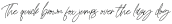 Romatine Signature Italic otf (400)