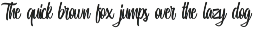 Miguela Script preview