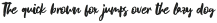Blastpink Script Regular otf (400)
