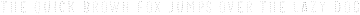 VVDS_Bimbo Serif Dot Decor otf (400)