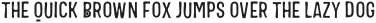 VVDS_Bimbo Condensed Fill otf (400)