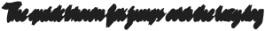 VVDS_Bimbo Script Shadow 2 otf (400)