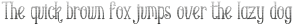 Oldiez grdn serif otf (400)
