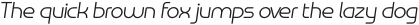 Omni Light Slanted otf (300)