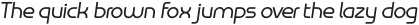 Omni Medium Slanted otf (500)