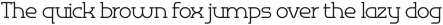 Omni Serif Light otf (300)