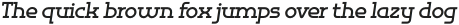 Omni Serif Bold Slanted otf (700)