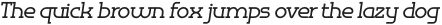 Omni Serif Medium Slanted otf (500)