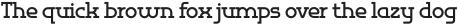 Omni Serif Bold otf (700)