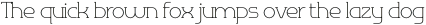 Omni Serif Thin otf (100)