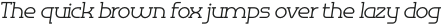 Omni Serif Light Slanted otf (300)