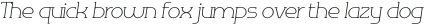 Omni Serif Thin Slanted otf (100)