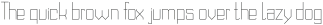 DOMINO Thin ttf (100)