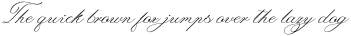Laurente Script Family Thin otf (100)