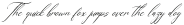 Geraldyn Brushko Italic otf (400)