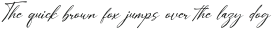 Aureliya Homnalej Italic otf (400)