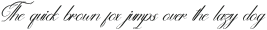 Selviary Italic otf (400)