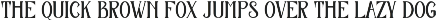 Yerezz Serif Display Font preview